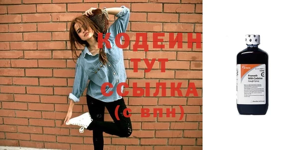 мдпв Новозыбков
