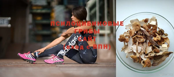 бошки Новодвинск
