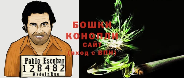 мдпв Новозыбков