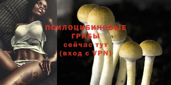 мдпв Новозыбков