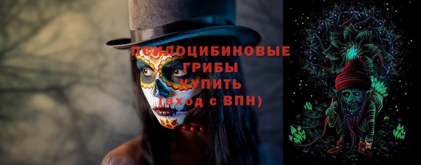 мдпв Новозыбков