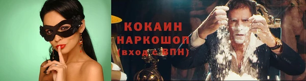 бошки Новодвинск