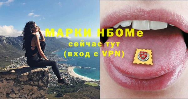 бошки Новодвинск