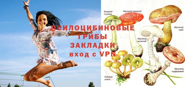 бошки Новодвинск