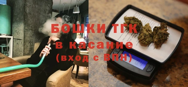 мдпв Новозыбков