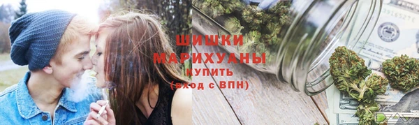 мдпв Новозыбков