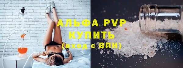 мдпв Новозыбков